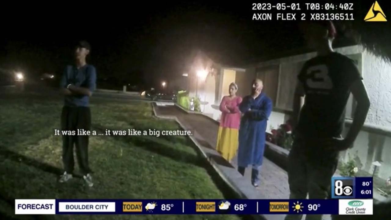 Las Vegas Family Spots Giant Aliens In Their Backyard After Shooting